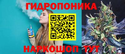 МДПВ Будённовск