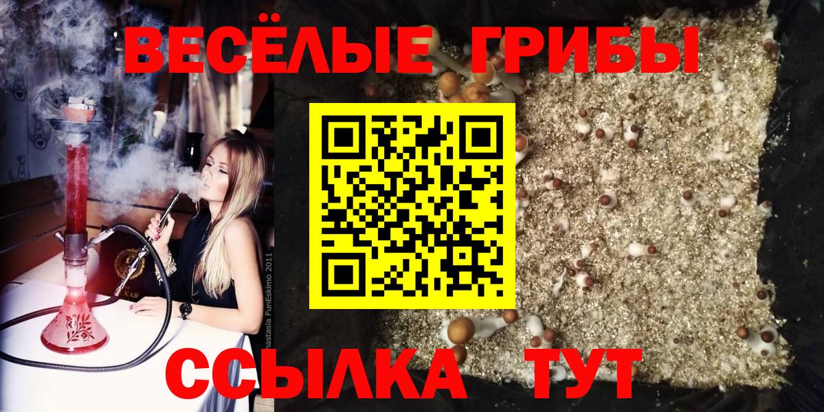 Галлюциногенные грибы MAGIC MUSHROOMS  Вход с VPN  Северобайкальск  Псилоцибиновые грибы Cubensis 